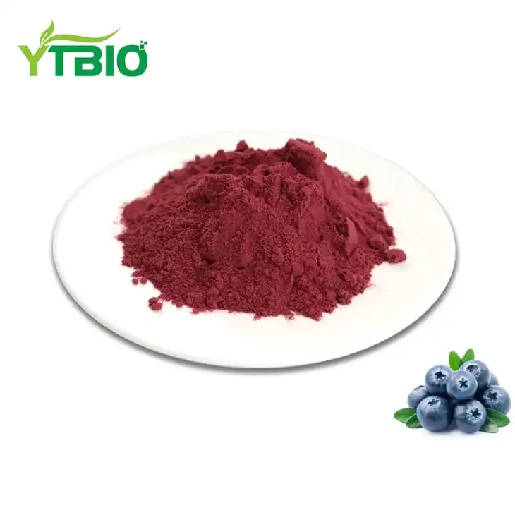 Blueberry Fruit Juice Powder